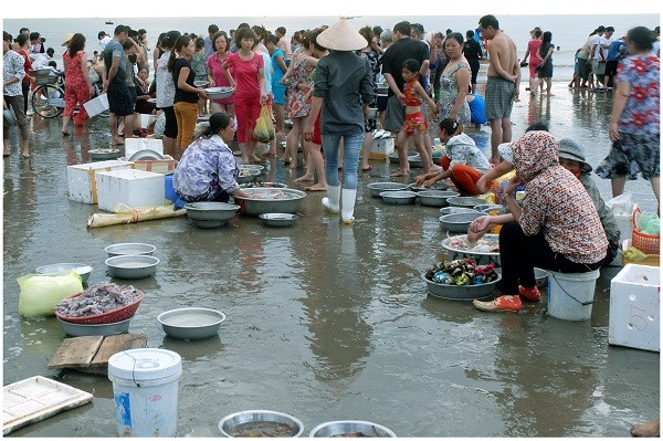 （图片来源：越南边防报）