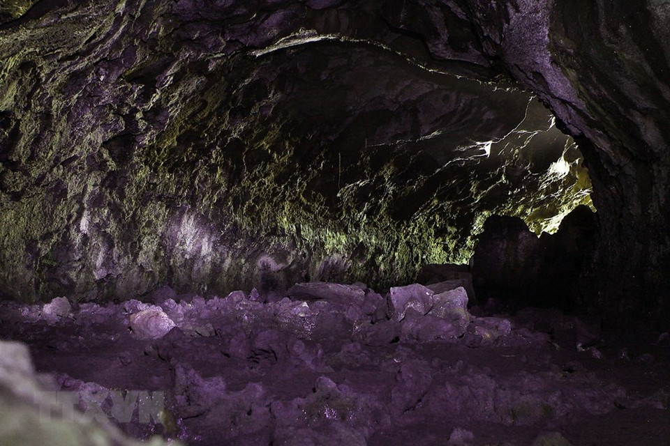 得农地质公园里的每个洞穴拥有不同的长度、发展方向、熔岩鐘乳石痕迹、植物遗迹等。越通社记者 杨江 摄