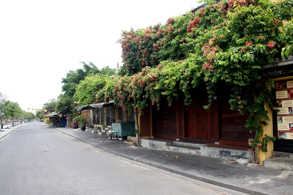 自7月30日上午，会安市居民已严格实施社交距离措施，该市所有社会活动都被暂停，各条街上没有一点踪影，各家饭馆、餐厅都关门暂停营业。越通社记者 郑邦任 摄