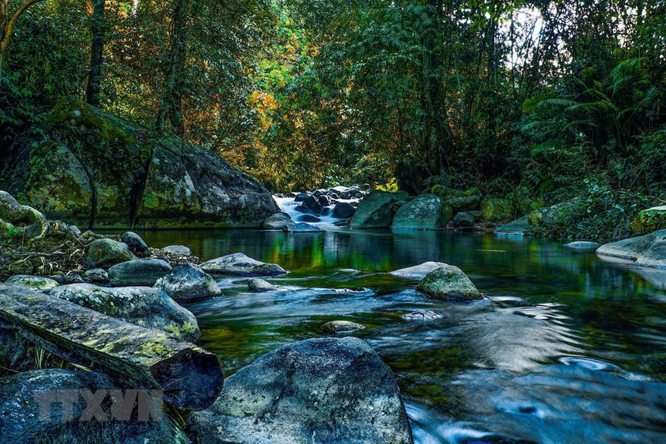塔董（Tà Đùng）国家公园总面积达近2.1万公顷，地处得农省得格隆县得森乡，距嘉义市以北50公里，与林同省接壤。图自越通社