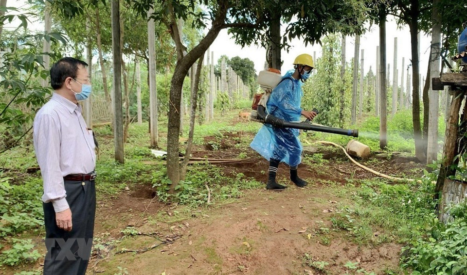 嘉莱省卫生部门在得都阿县海杨乡进行消毒。图片来源：越通社