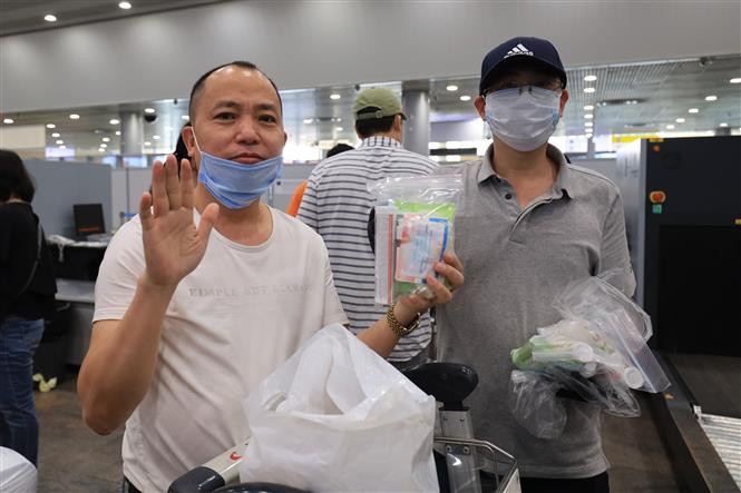 为了确保公民的健康，预防疫情蔓延，在飞行全过程航空公司已严格遵守防疫规定。越南驻俄罗斯大使馆代表向越南公民赠送口罩、手套和防腐剂等。图片来源：越通社