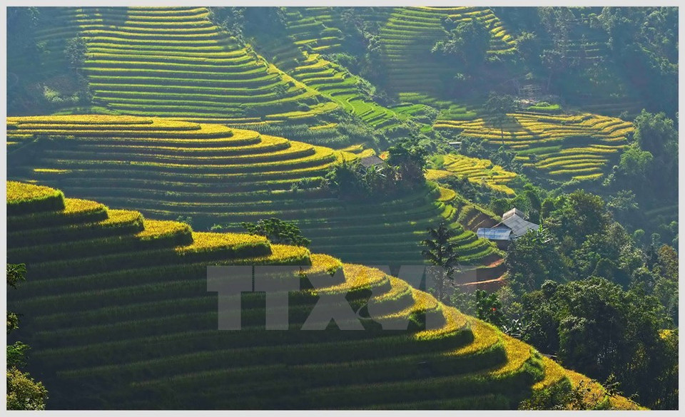 （图片来源：越通社）
