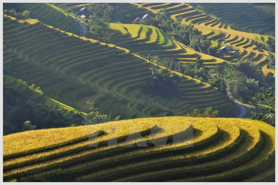 （图片来源：越通社）