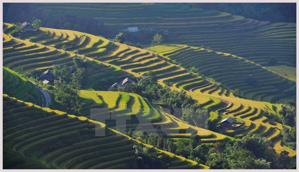 （图片来源：越通社） （完）