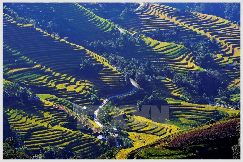 （图片来源：越通社）