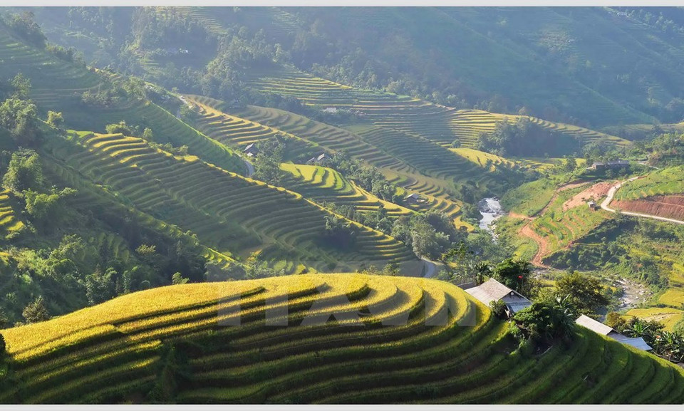 （图片来源：越通社）