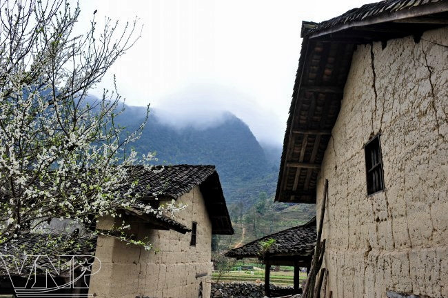 蒙族人传统建筑的填墙屋（图片来源：越通社）