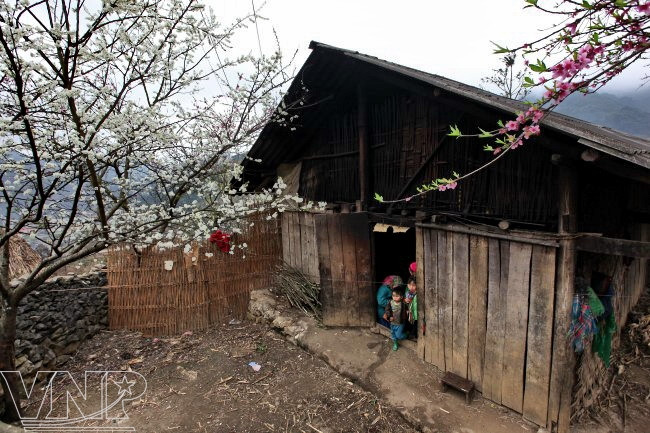 生平宁静的高街（图片来源：越通社）