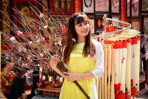 梅花、桃花街是胡志明市人民喜爱的春季出游目的地（图片来源：越南《人民军队报》）