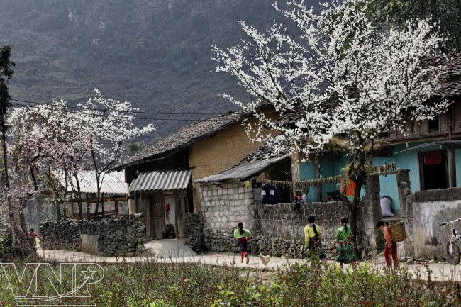高街还留下采取蒙族人传统建筑的填墙屋（图片来源：越通社）