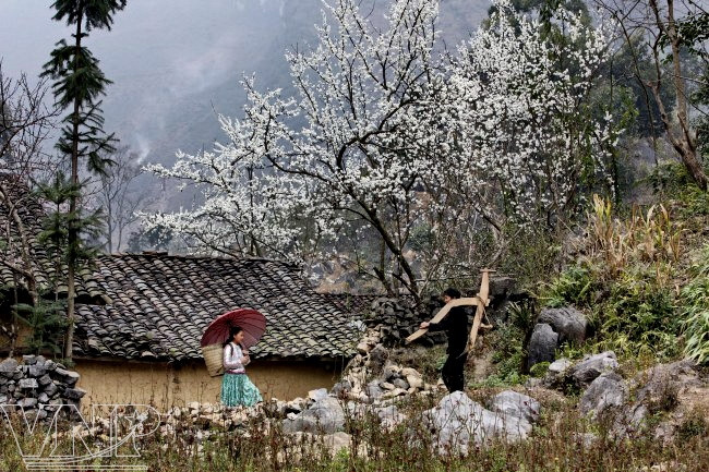 充满诗意的高街村寨（图片来源：越通社）