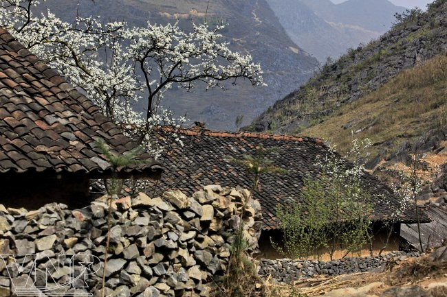 房屋采用填墙式，垒石做围墙（图片来源：越通社）