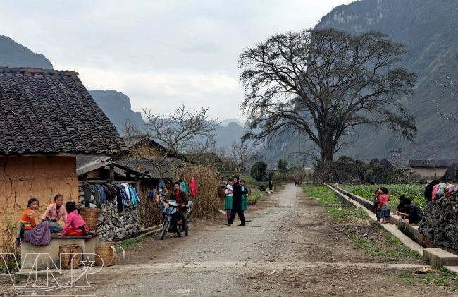 生平宁静的高街（图片来源：越通社）