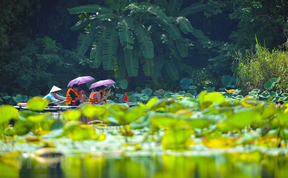 秋天时，长安风景十分美丽，颇受好多游客的青睐。越通社记者 明德 摄