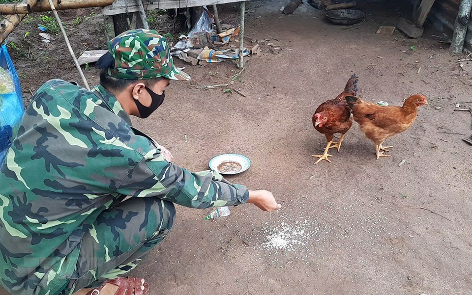 战士们在边界线上的检查站养家禽来改善伙食。越通社记者 胡求 摄