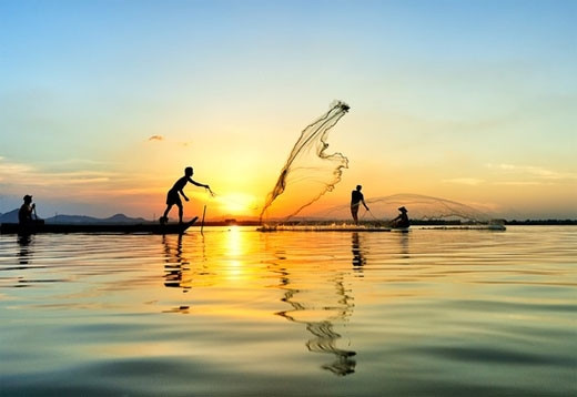 汛期也是鱼虾生殖的时候，田地上处处皆是人民捕鱼的场景（图片来源：vnexpress.net）