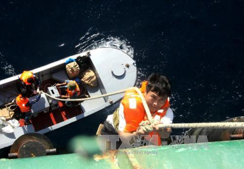 年货开始被送上高脚屋。（图片来源：越通社）