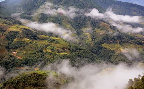 黄树肥高出海平面约1500米。来到这里，游客可沉浸在充满诗情画意的自然风景之中。（图片来源：人民军队报网）