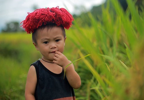 瑶族小孩子去看抓鱼。（图片来源：人民军队报网）