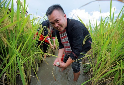 抓鱼 。（图片来源：人民军队报网）