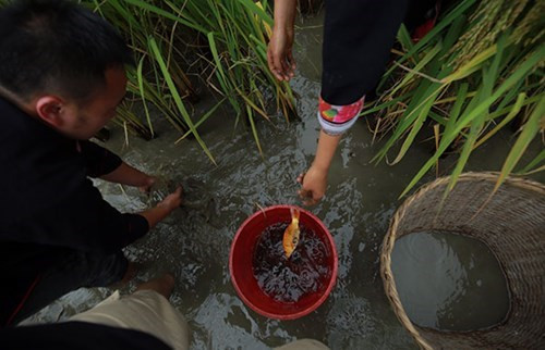 抓鱼 。（图片来源：人民军队报网）