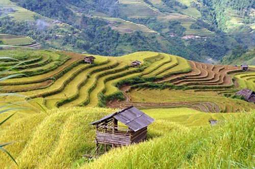 黄树肥的梯田为当地人民带来经济价值，同时构成了一幅美轮美奂的自然画卷，为促进当地旅游发展作出贡献。 （图片来源：人民军队报网）