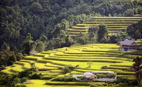 黄树肥的梯田为当地人民带来经济价值，同时构成了一幅美轮美奂的自然画卷，为促进当地旅游发展作出贡献。 （图片来源：人民军队报网）