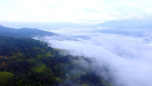 山峰与白云融为一体，构成了一幅虚幻空灵的画面。（图片来源：人民军队报网）