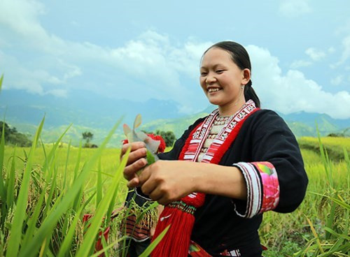 抓鱼。（图片来源：人民军队报网）