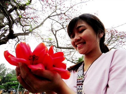 来自河内医科大学女生阿玲陶醉在木棉花魅力之中（图片来源：vnexpress.net）