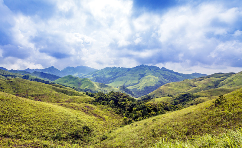 在山麓下是沿边界线的原始森林。