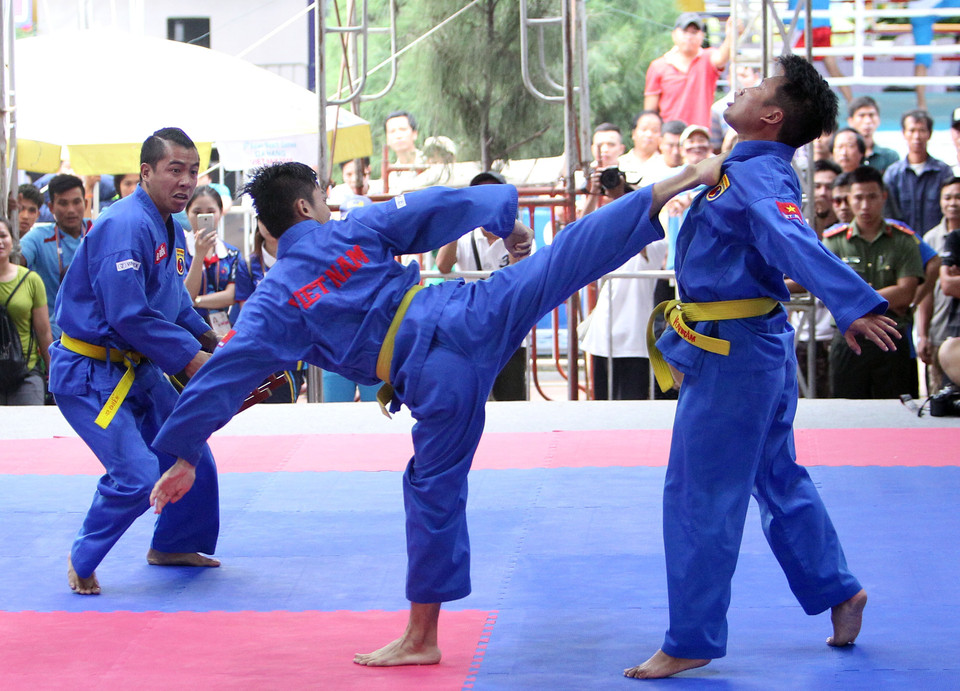 越武道赛项（图片来源：越通社）