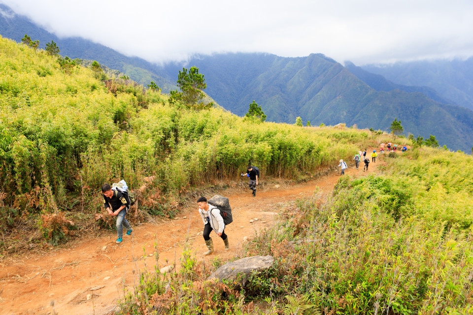 游客团穿越竹林。这是海拔2000米的平原地区。图自越通社/越南画报