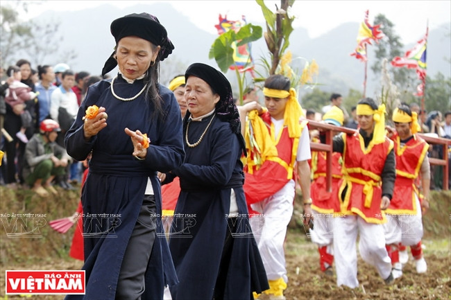 芋头树巡游仪式。越南画报记者 越强 摄