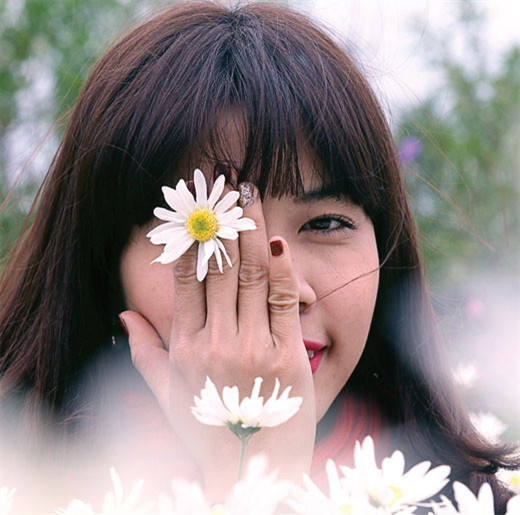 少女在雏菊花边照相（图片来源：越南《人民军队报》）
