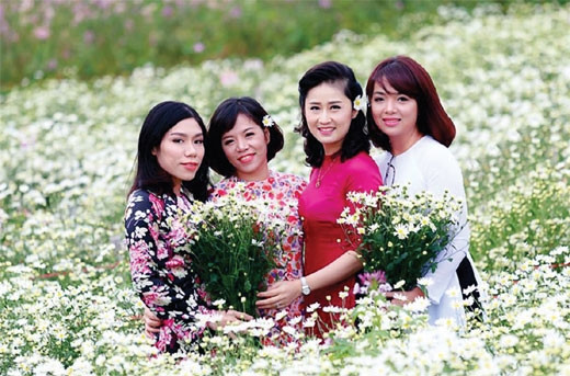 雏菊花为少女添加美丽（图片来源：越南《人民军队报》）