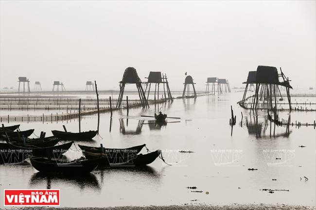 太平省钱海县土壤肥沃适合养殖蛤蜊，素有“海上村庄”之称。《越南画报》记者 庆龙 摄