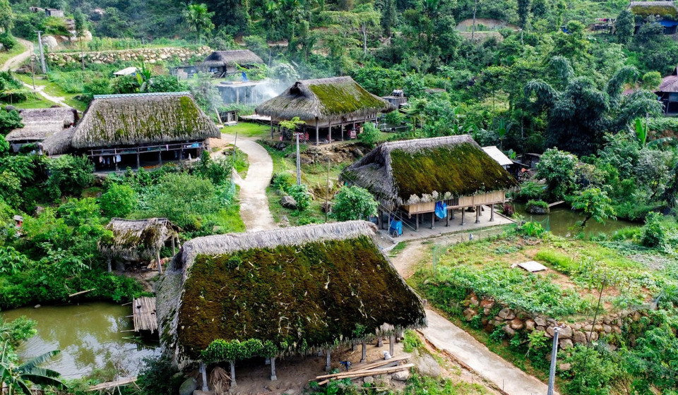 长满青苔的棕榈叶屋顶是舍平村的典型特征。图自越通社