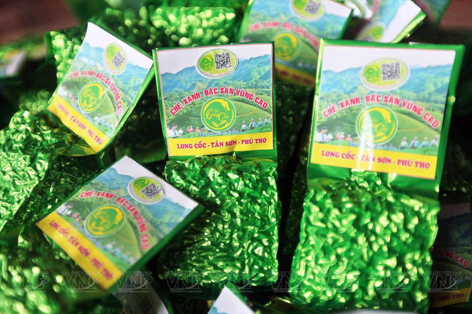 目前，龙谷安全茶叶合作社的茶叶产品在全国大部分省份以及Vinmart、Coopmart等超市均有销售。图自越通社/越南画报
