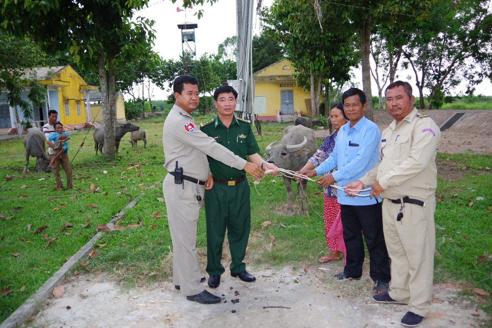 2019年5月24日下午，西宁省福新边防哨卡同柬埔寨柴桢省政府和边防部队向柬埔寨人民移交被偷的14头牛。图自越通社