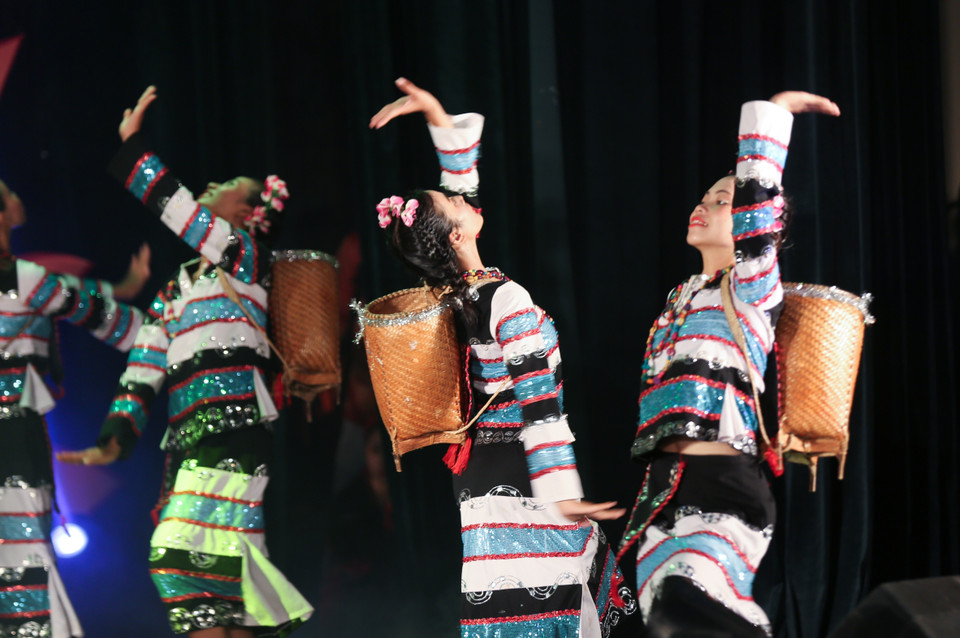 各文艺演出节目精彩纷呈，展现出各民族同胞独特的传统文化色彩。越通社记者 仲达 摄