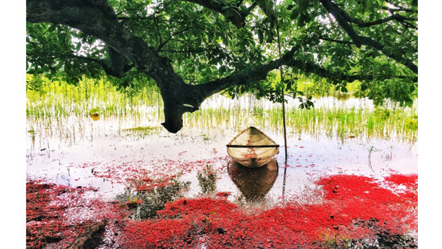 成为一个如诗如画的绝美场景。