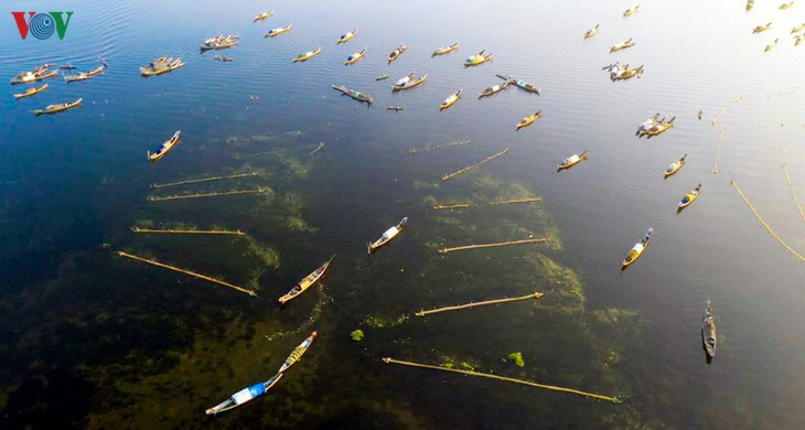  当地渔民在广利潭从事捕捞工作。图自越南之声