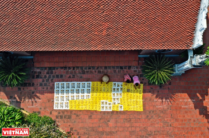 晒画。越南画报记者 功达 摄