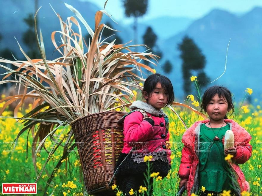 《白萝卜的早餐》作品。图自越南画报