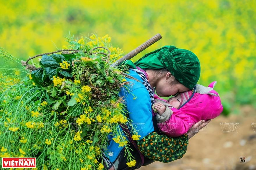 《妈妈的春天》作品。图自越南画报