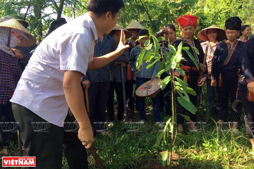 Vina Samex向农民指导有机种植方法。图自越南画报