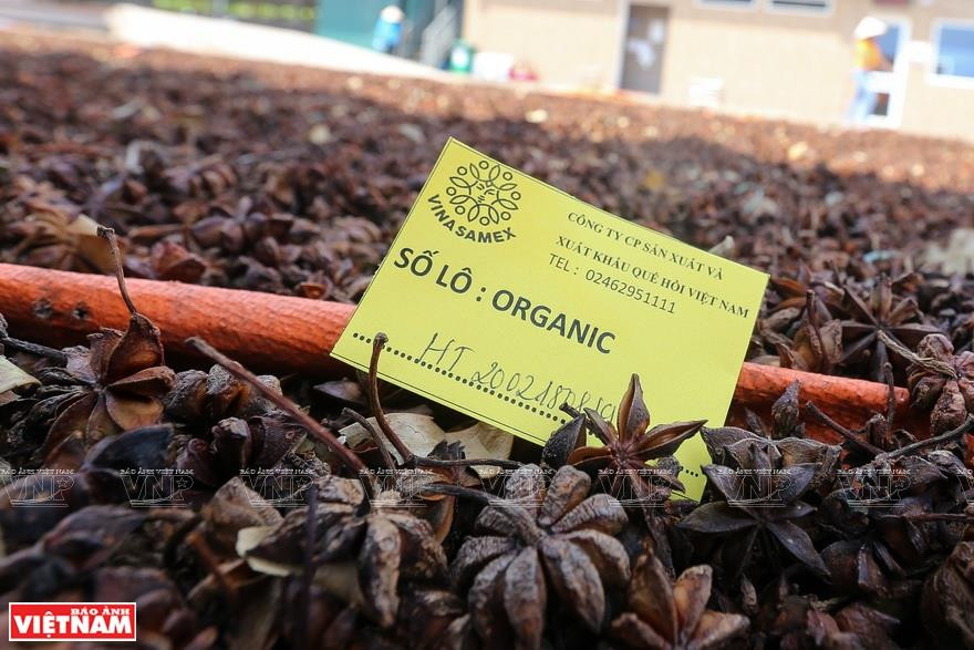 Vina Samex桂皮八角产品获得许多权威国际认证，产品出口美国、欧洲、日本等市场。越南画报记者 越强 摄
