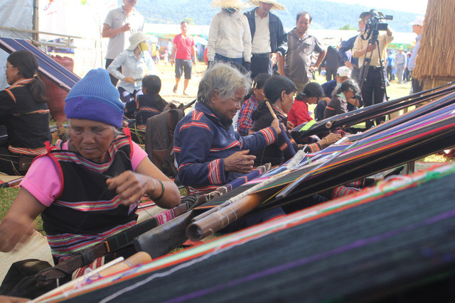 嘉莱省肿柄菊节相关活动。图自因特网